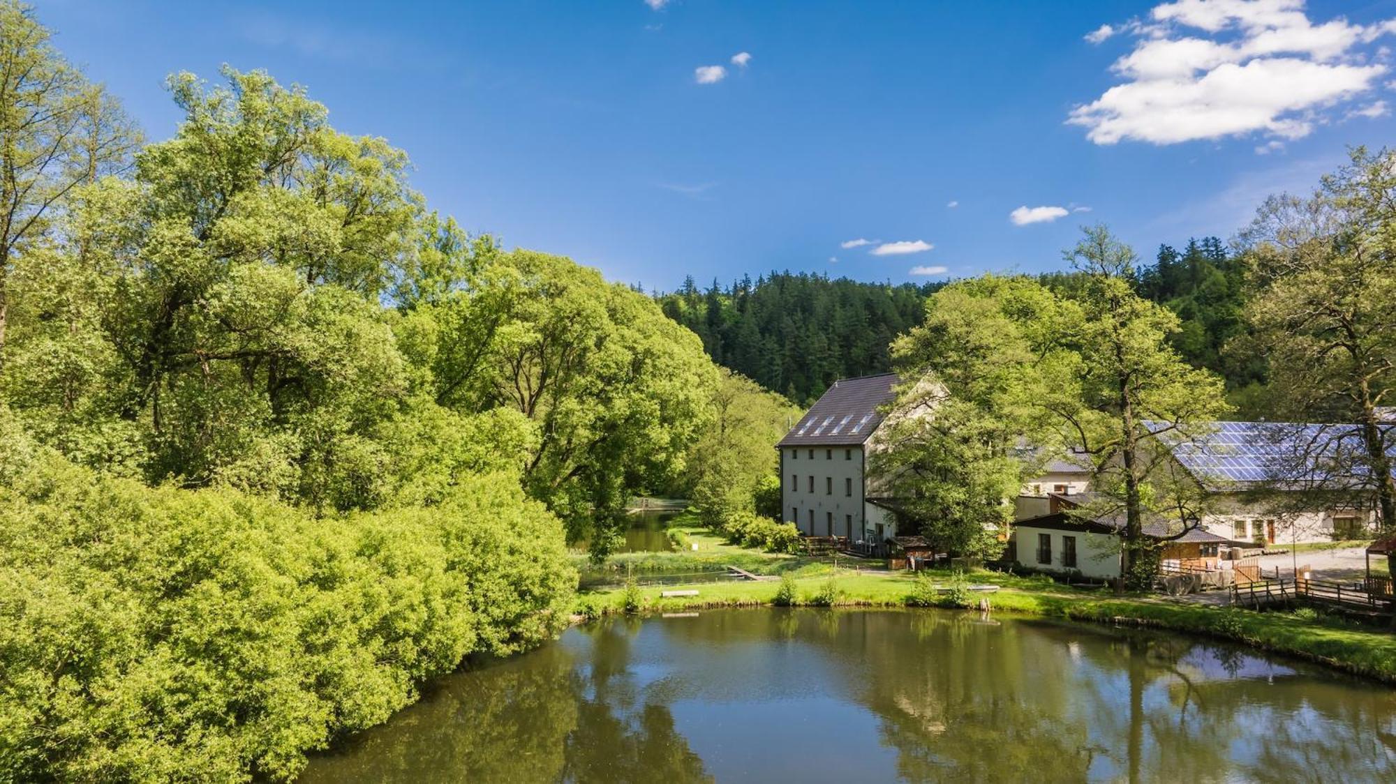Daviduv Mlyn Hotel Stare Techanovice Exterior photo